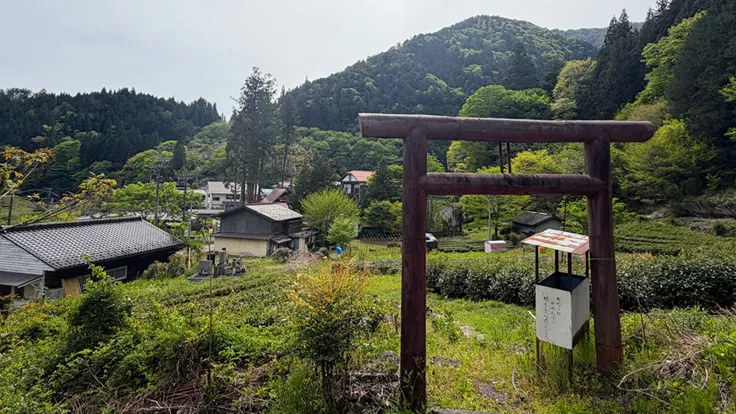 記録